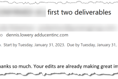 Comment from a manuscript editing-rewriting client.