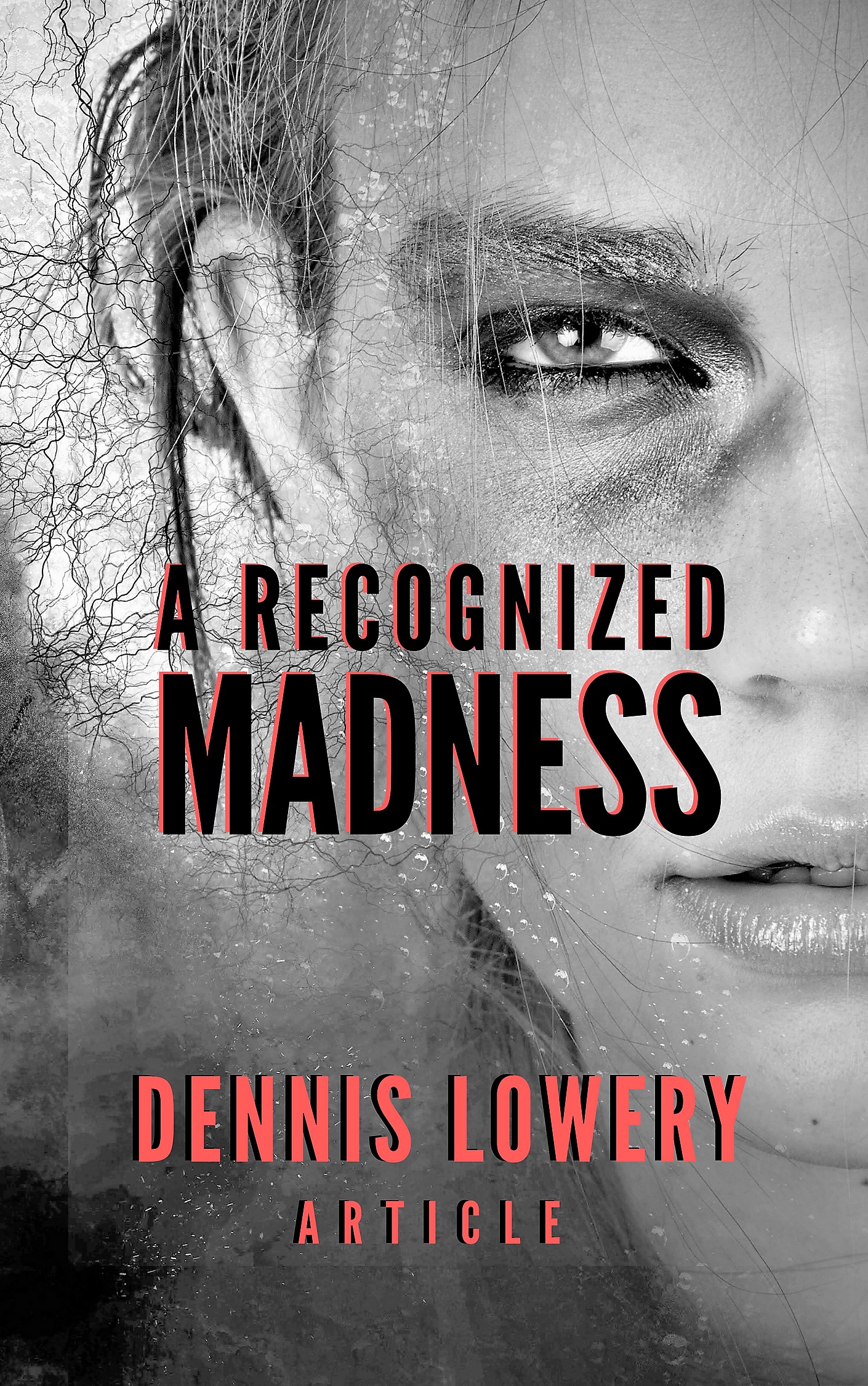 A RECOGNIZED MADNESS - by Dennis Lowery