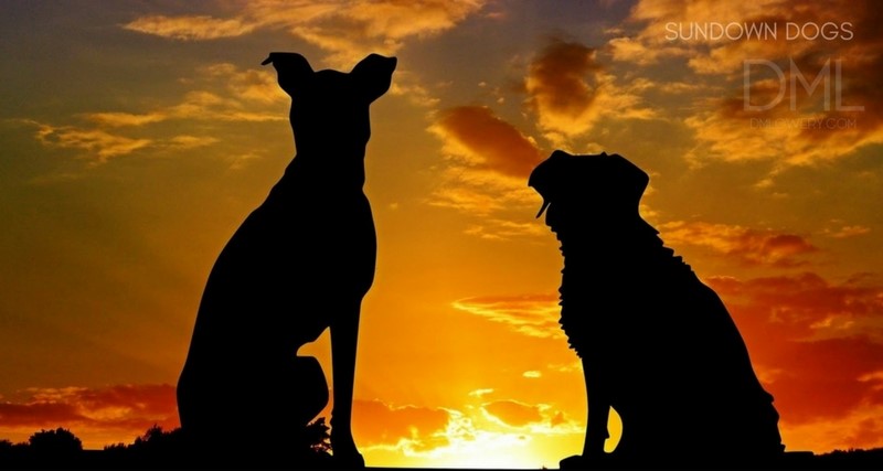 Sundown Dogs by Dennis Lowery