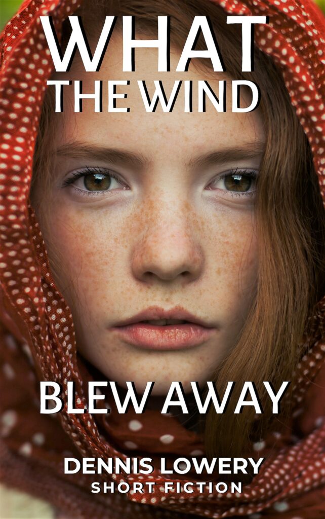 What the Wind Blew Away - Short Fiction by Dennis Lowery